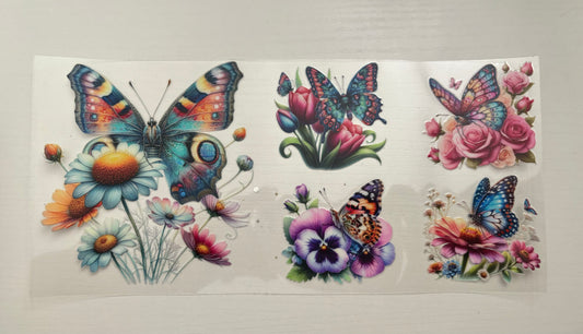 Butterfly 2